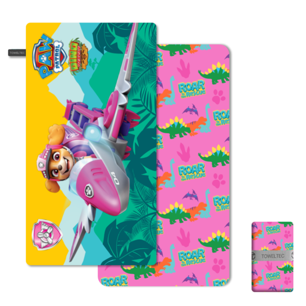 PAW PATROL SKY VOLANDO